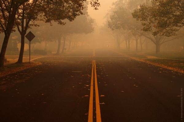 Фотофакт. В Калифорнии бушуют пожары, огонь подбирается к Голливуду