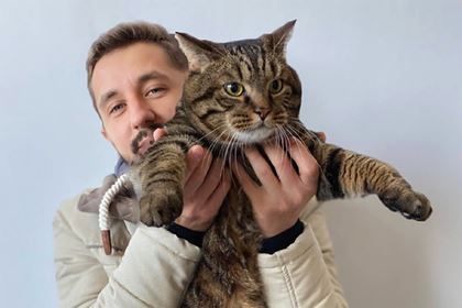 Заводчики кошек раскритиковали пассажира с котом за нарушение правил «Аэрофлота»