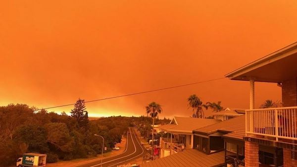 Австралию охватили пожары. В Сиднее из-за дыма не видно здания оперы, в парках массово гибнут коалы