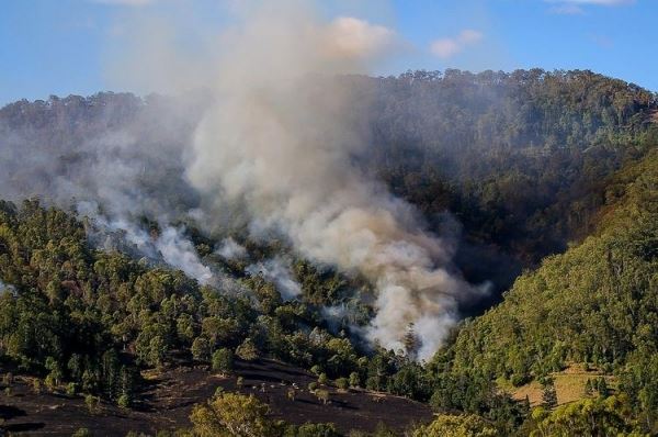 <br />
В Австралии сгорел миллион гектаров леса. Дальше будет хуже, считают эксперты<br />

